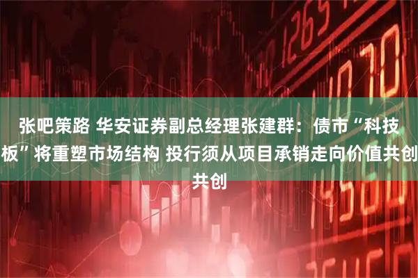 张吧策路 华安证券副总经理张建群：债市“科技板”将重塑市场结构 投行须从项目承销走向价值共创