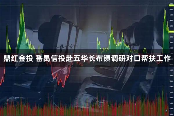 鼎红金投 番禺信投赴五华长布镇调研对口帮扶工作