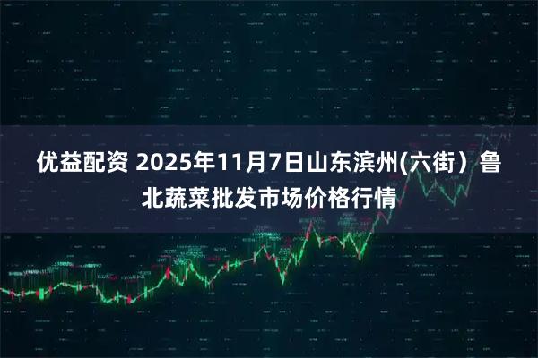 优益配资 2025年11月7日山东滨州(六街)鲁北蔬菜批发市场价格行情