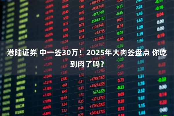 港陆证券 中一签30万！2025年大肉签盘点 你吃到肉了吗？