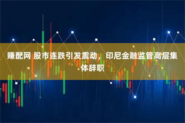 赚配网 股市连跌引发震动，印尼金融监管高层集体辞职