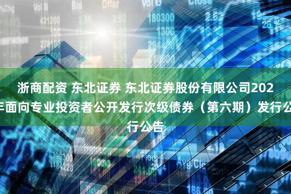 浙商配资 东北证券 东北证券股份有限公司2025年面向专业投资者公开发行次级债券（第六期）发行公告