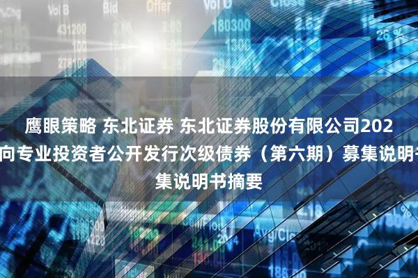 鹰眼策略 东北证券 东北证券股份有限公司2025年面向专业投资者公开发行次级债券（第六期）募集说明书摘要