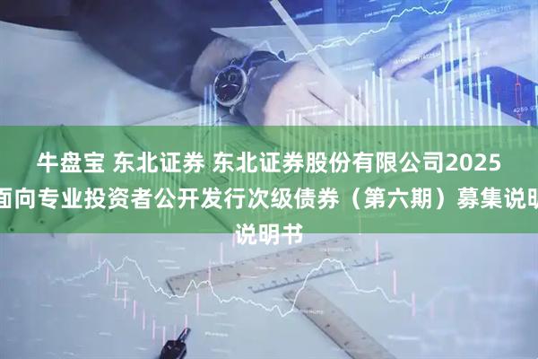牛盘宝 东北证券 东北证券股份有限公司2025年面向专业投资者公开发行次级债券（第六期）募集说明书